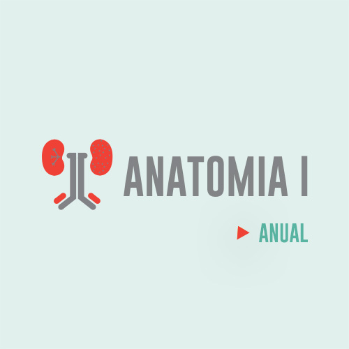 Anatomia – Anual – marcelo