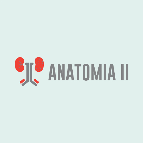 Anatomia II – Agosto – (novo)
