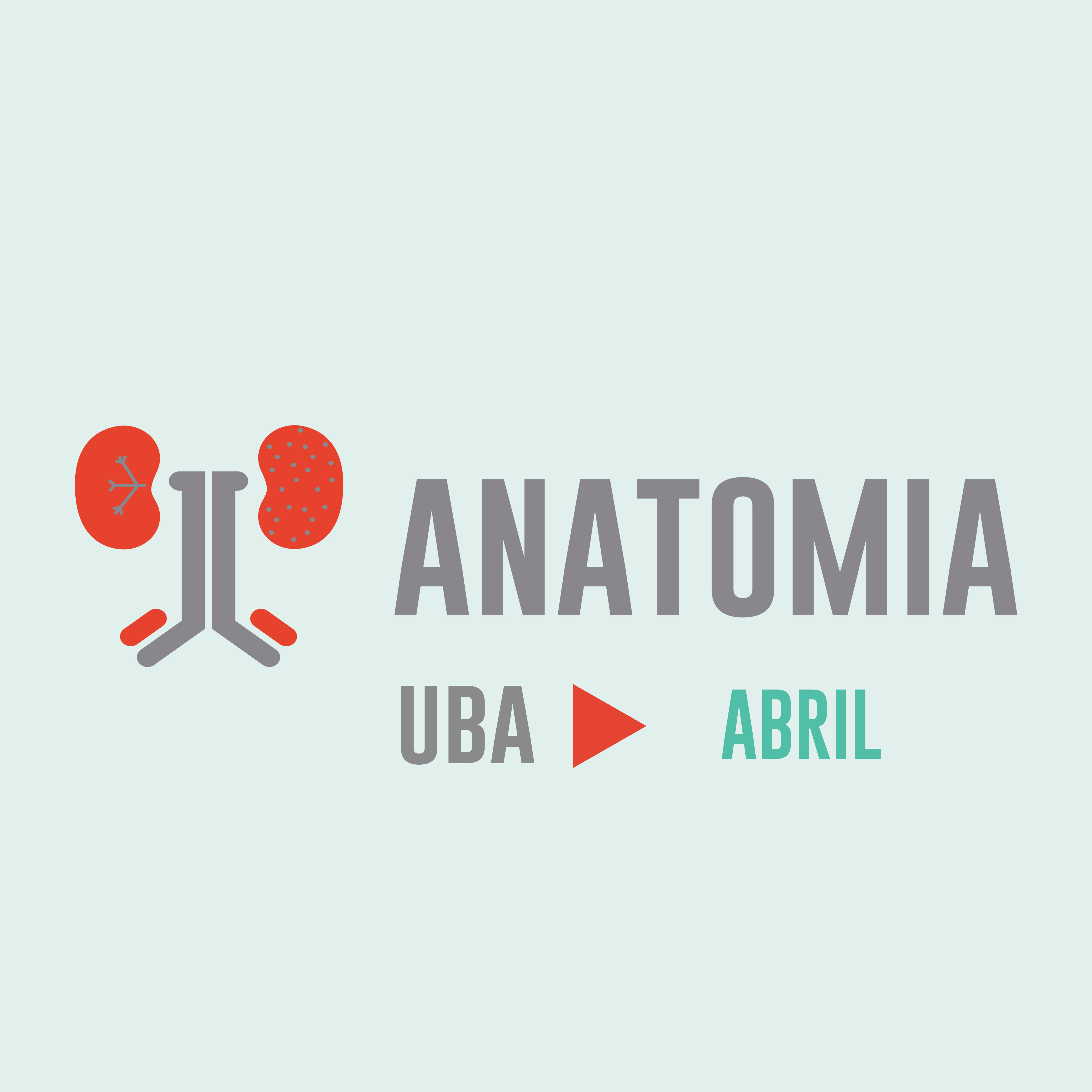 Anatomia – Abril – UBA