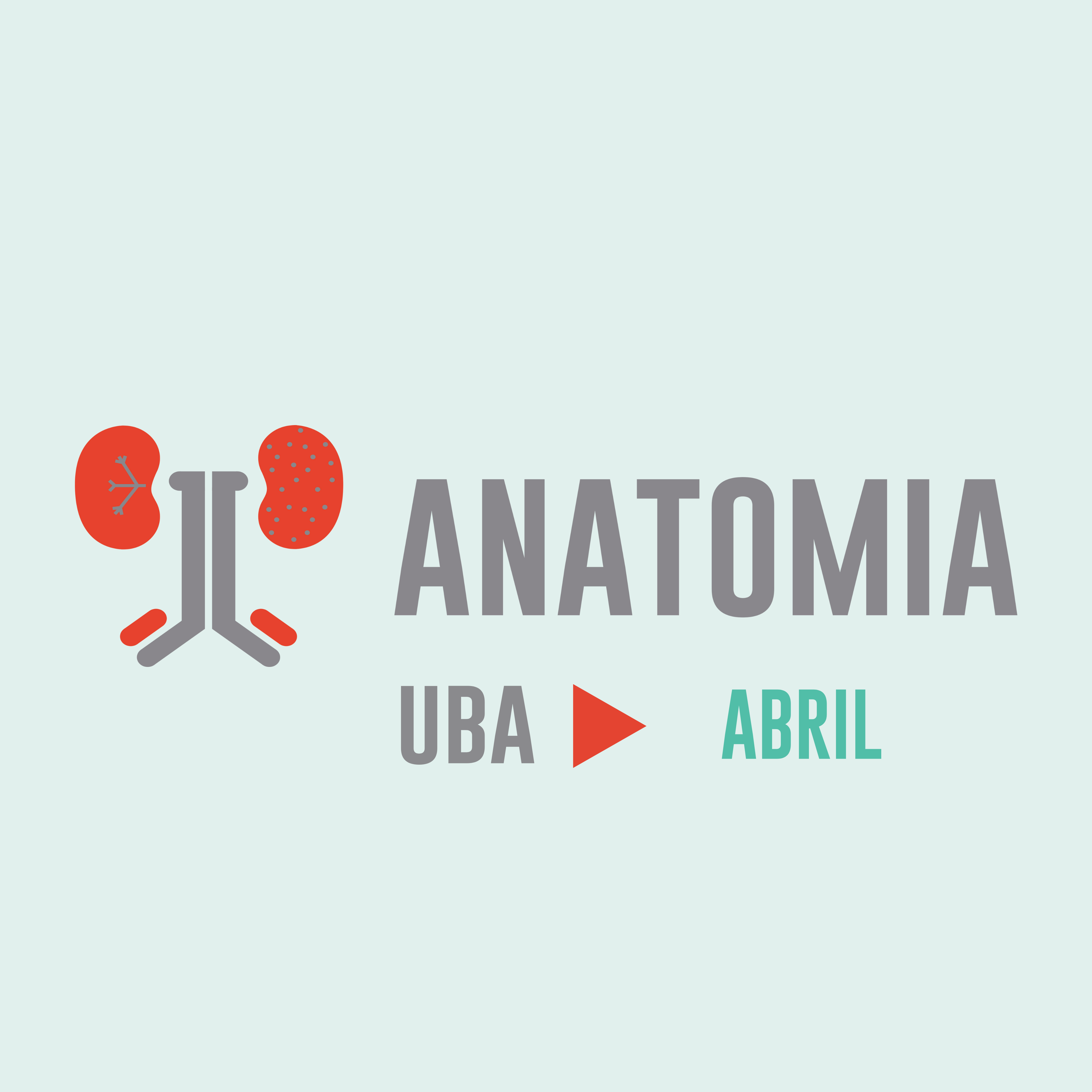 Anatomia – Setembro – UBA